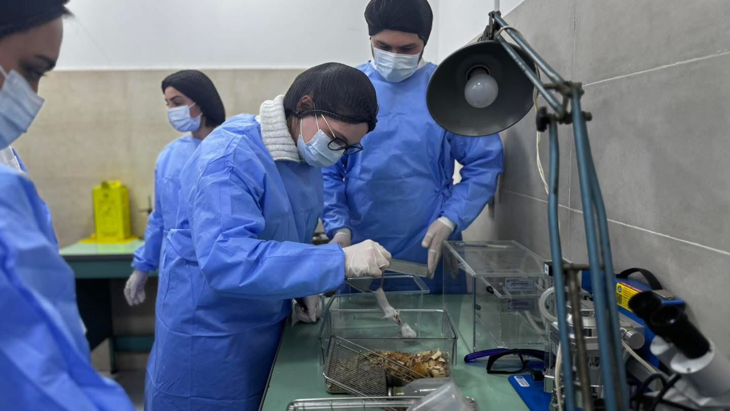 ფარმაკოქიმიის ინსტიტუტში გაიმართა ვორკშოპი - „კლინიკამდელი კვლევის საფუძვლები“